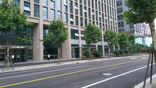 招商局上海中心 租赁出租 招商局上海中心 招商出租