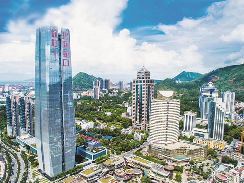 与百年招商共鉴改革新生