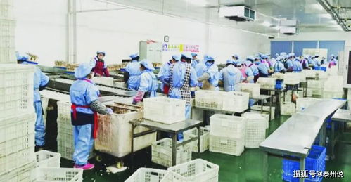 线上线下 ,泰兴三区三园招商成绩单来了